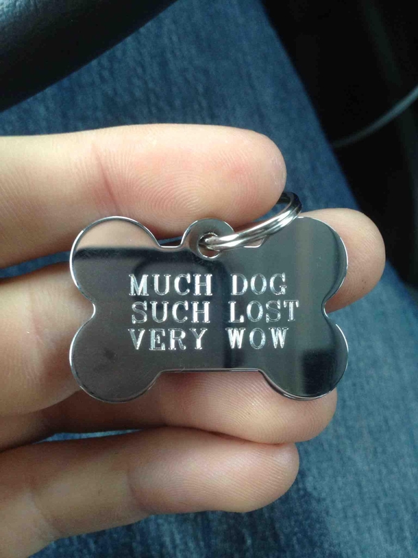 So my brother got a new dog tag