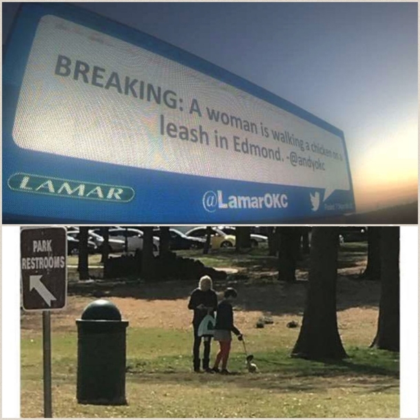 So my daughter bought a leash for her chicken and took it for a walk in the park Someone took notice and tweeted it to this billboard