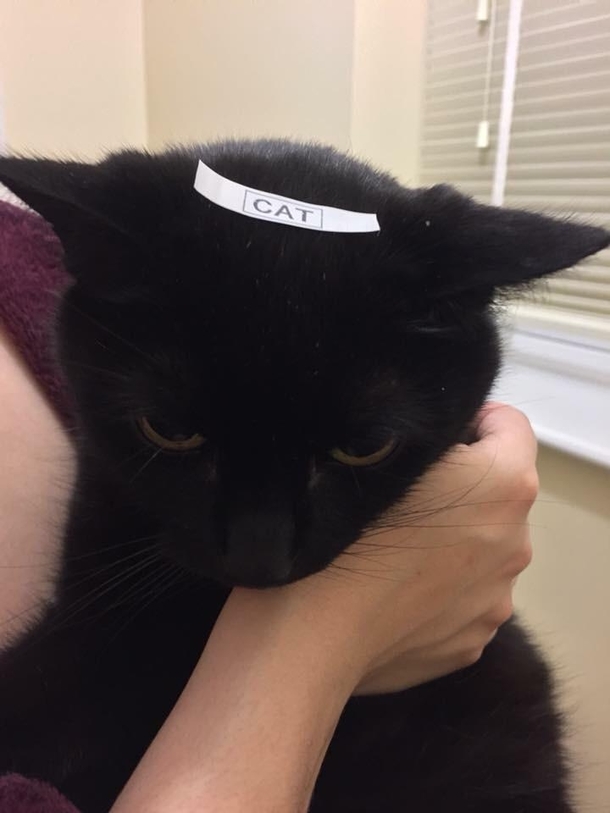 So my girlfriend just discovered I own a Label Maker within minutes this happened