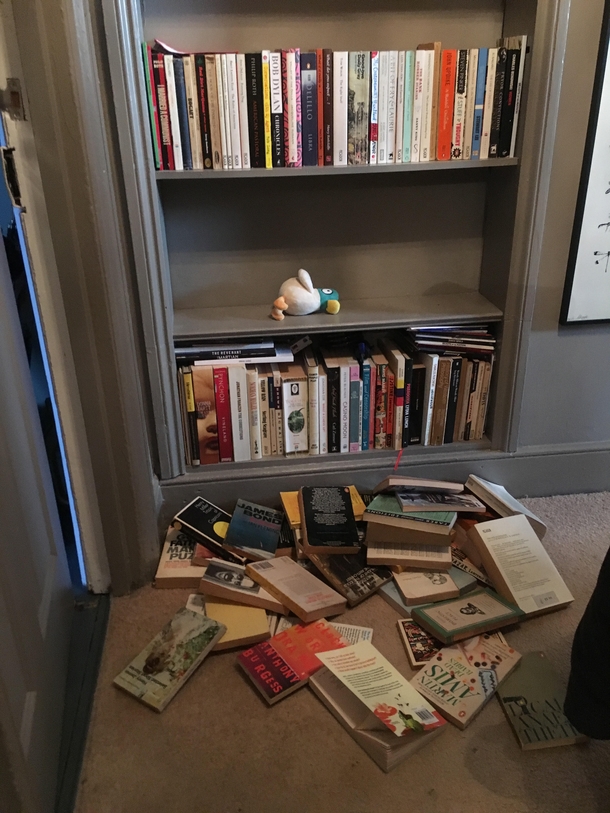 So my kid rearranged my bookshelf for me