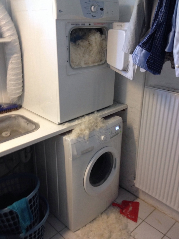 So my mom put a pillow in the dryer