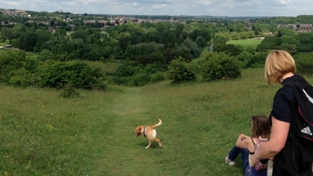 So my mum took a panorama yesterday