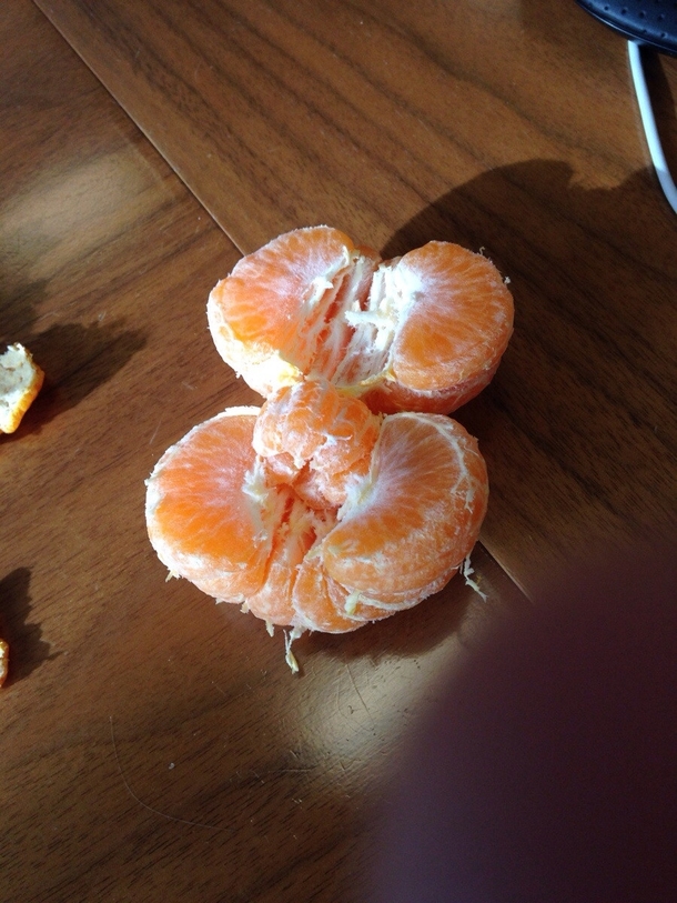 So my orange was pregnant