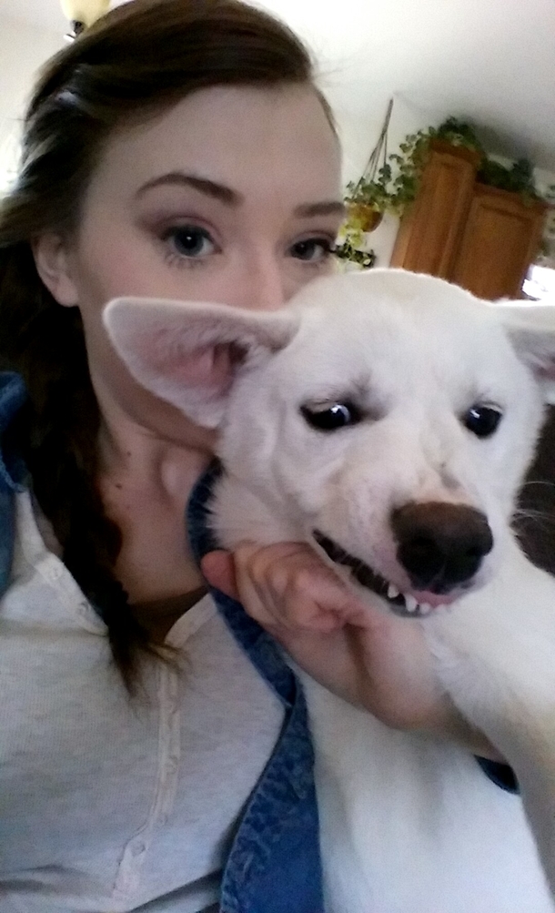 So my puppy with an over bite decided to growl just as I tried to take a picture with her