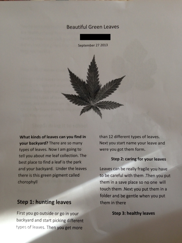 So my  year old cousin had to do an article about leaves and put this on her front page she doesnt even know what it is