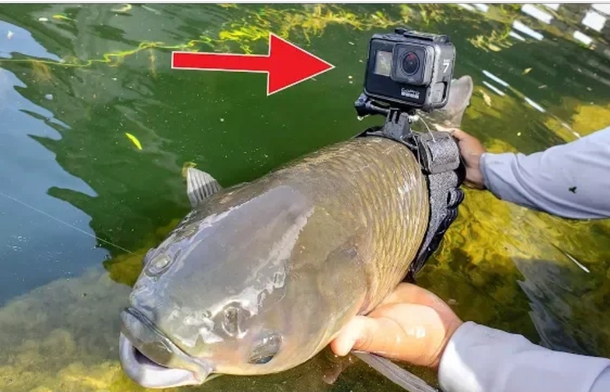 So now even a Fish has its own YouTube channel LOL