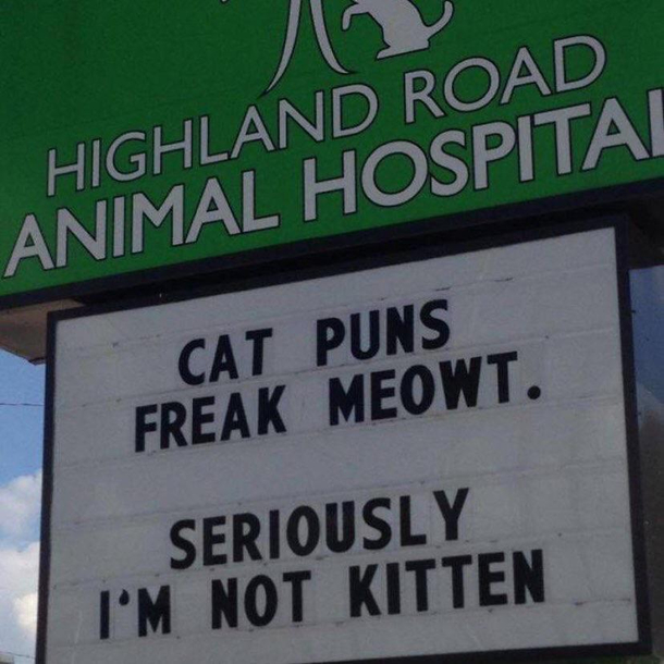 So punny