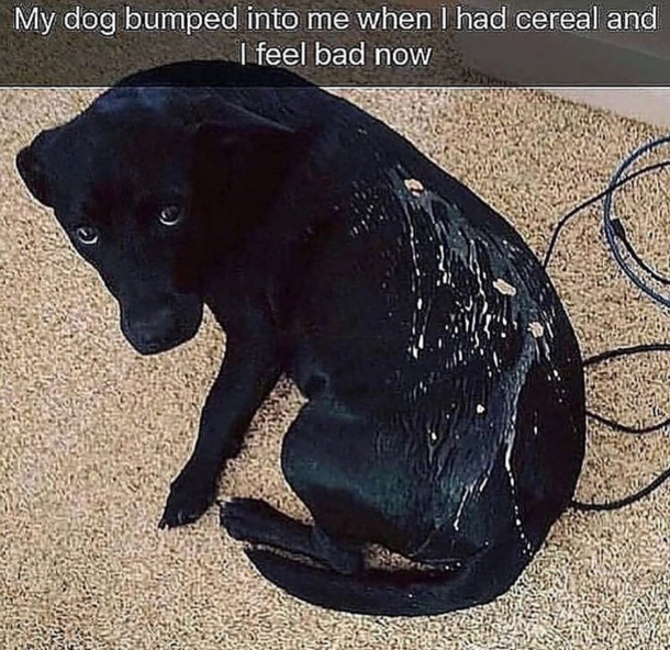 So sad