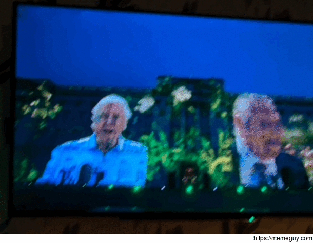 So Sir David Attenborough how do you want your message about energy conservation to be portrayed I want to be projected  feet high onto Buckingham Palace ya fucks Then fireworks