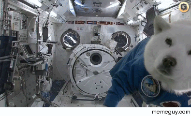 So space Much Weightlessness Very relax Wow
