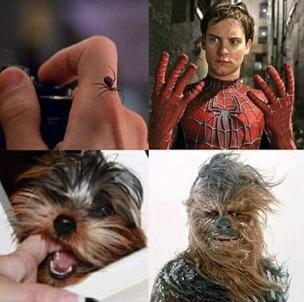 So thats how it works