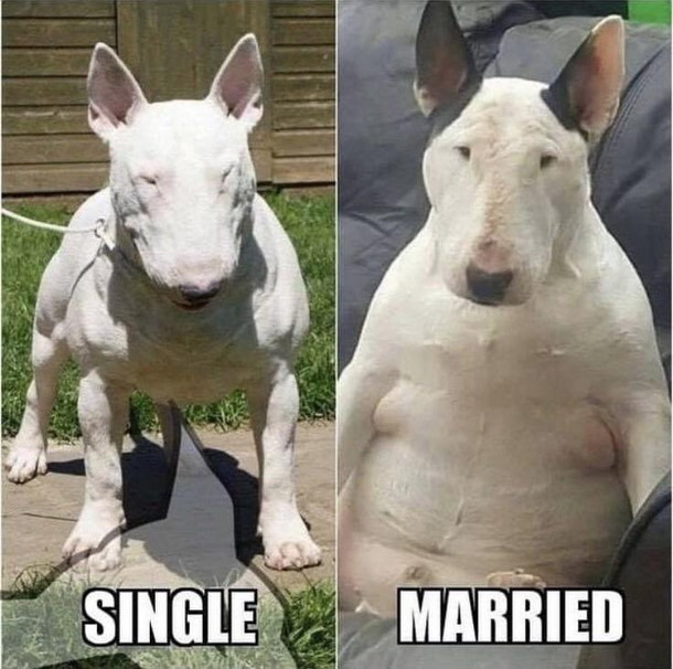 So they say 