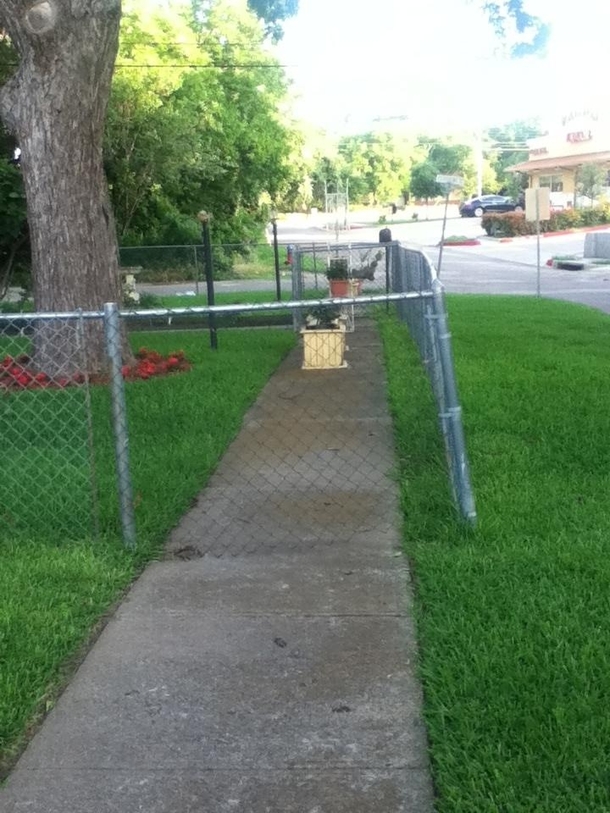 So this guy just decided to claim the whole damn side walk