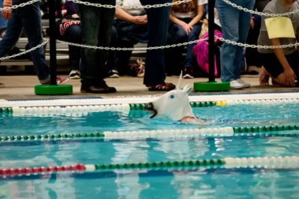 So this happened at my sisters swim meet