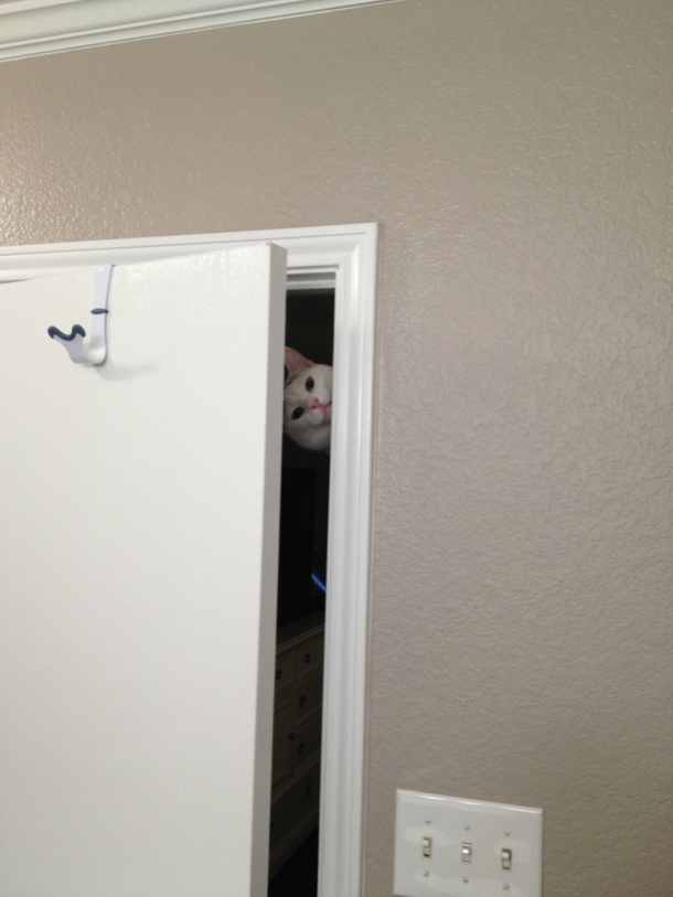 So this is the most terrifying thing thats ever happened to me