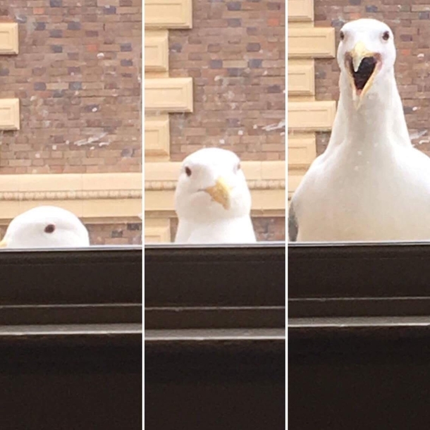 So this photo sequence happened