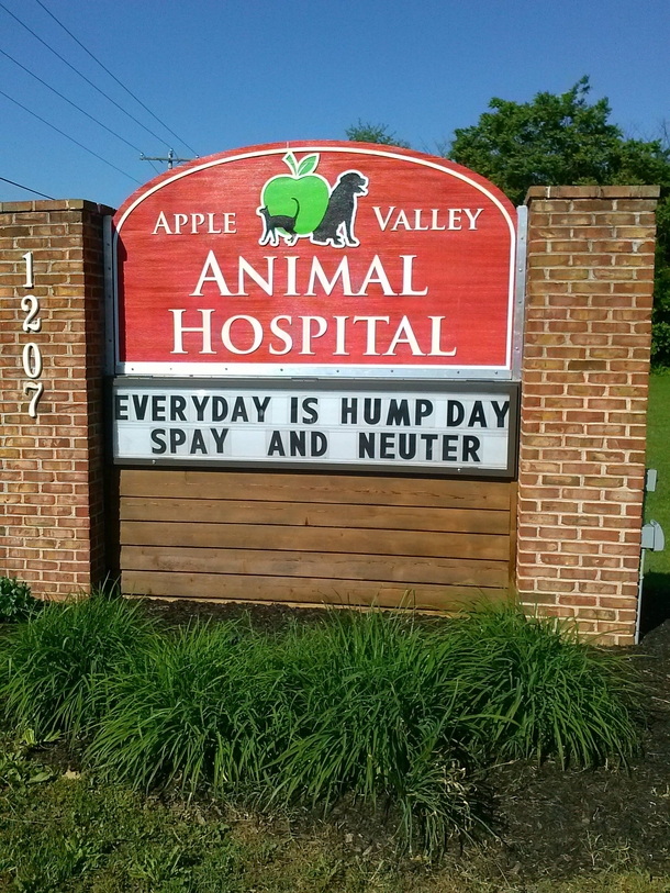 So this was the advertisement for our local vet