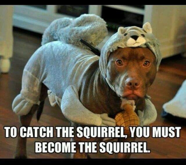 So true