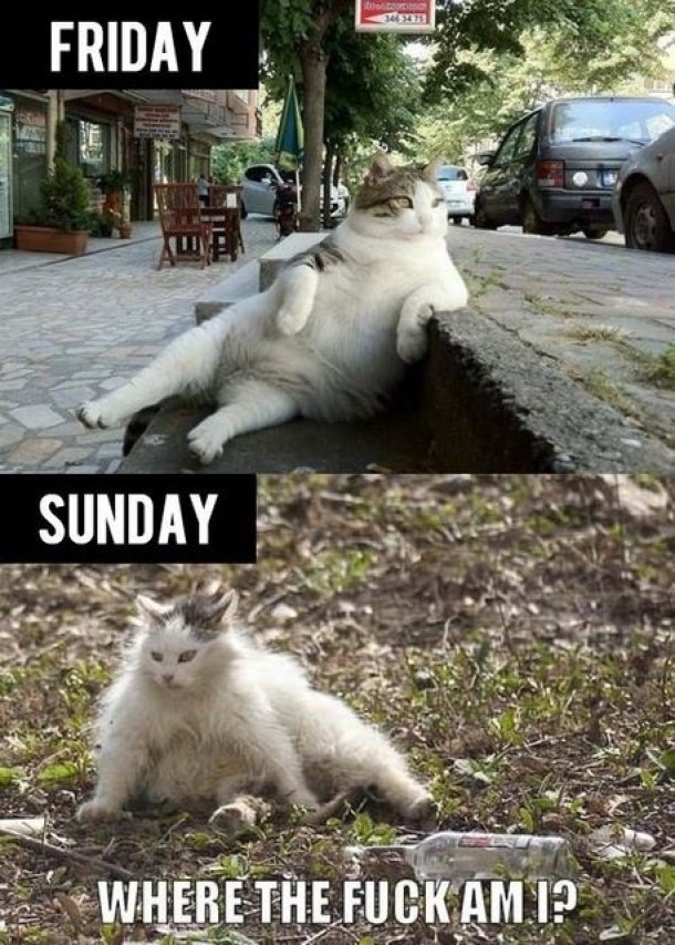 So True