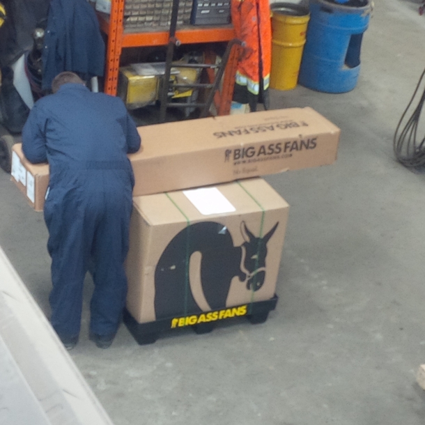 So we got a big ass fan at work today