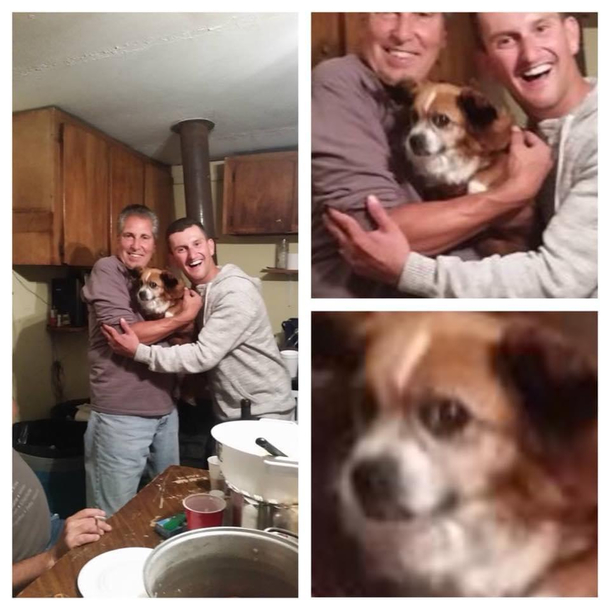 So we made bad family photos drunk one nightand the dog went full cat on us