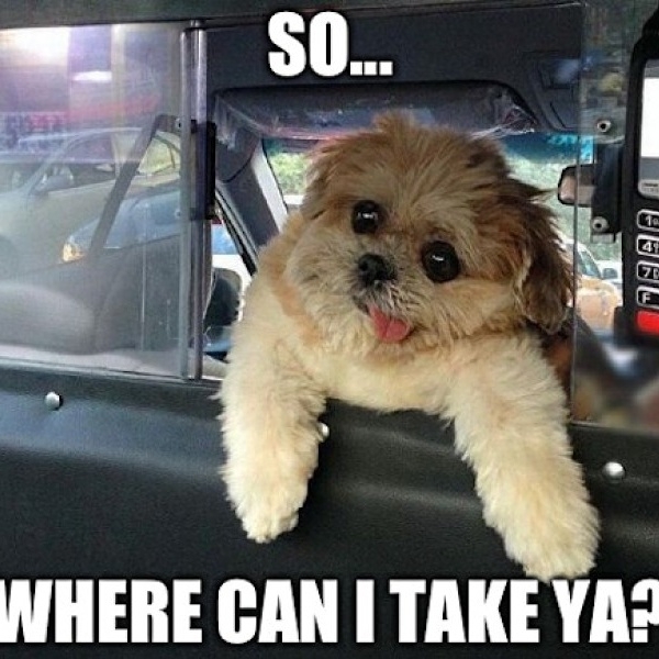 So where can I take ya
