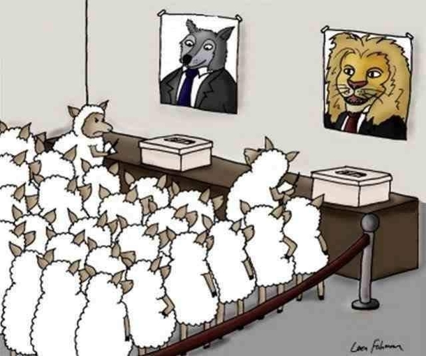 So who are you voting for