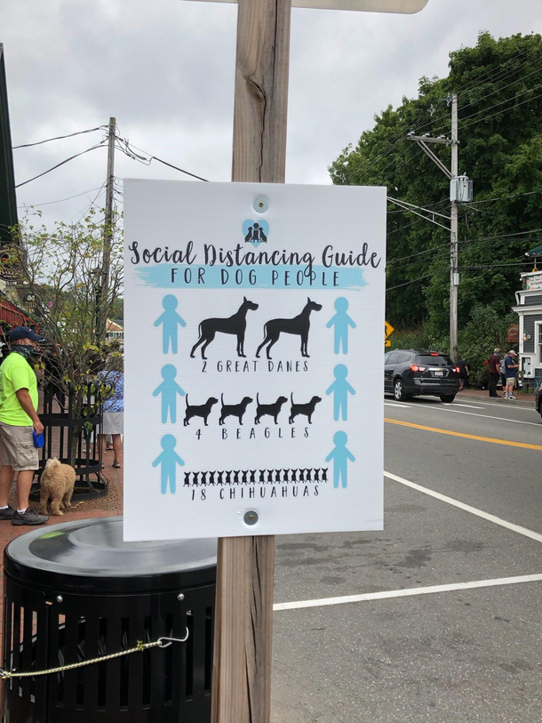 Social Distancing in Dog-friendly Ogunquit