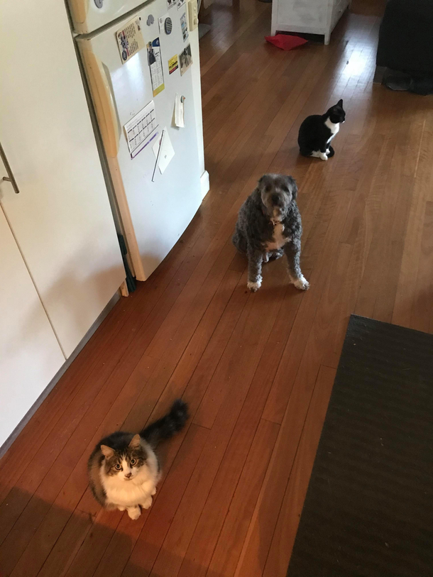 Social distancing in the queue for the kitchen