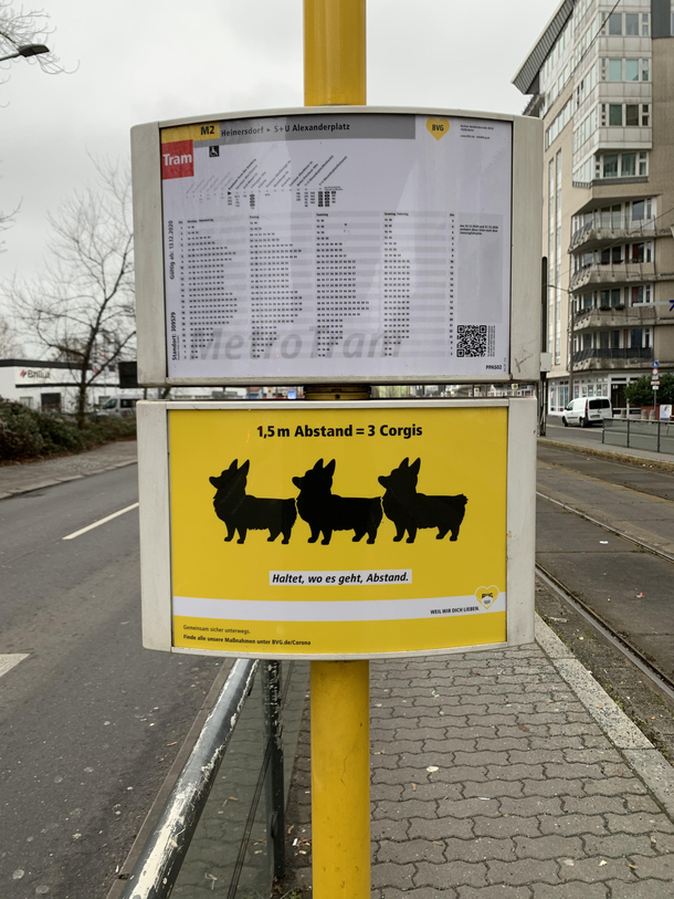 Social distancing measured in Corgis in berlin