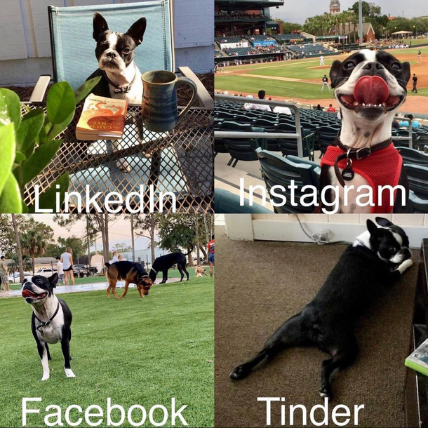 Social media