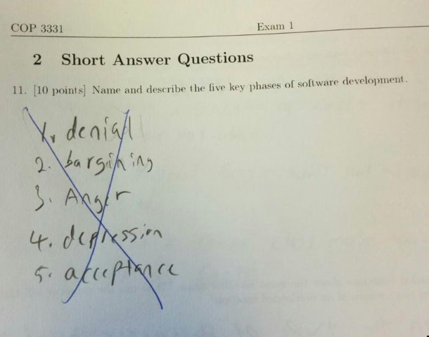 Software developer daily struggles 