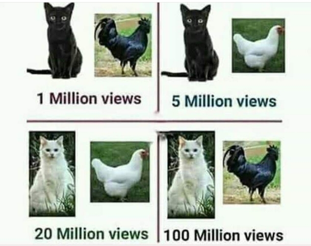 Some basic facts for ya all