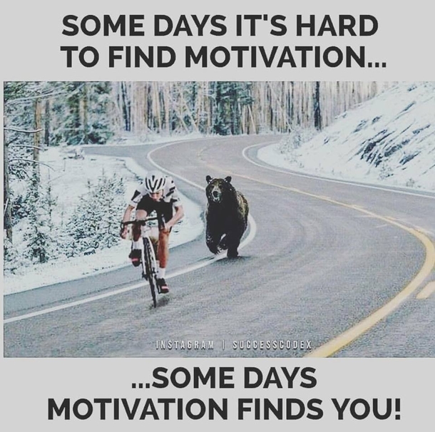 Some days Motivation Finds You 