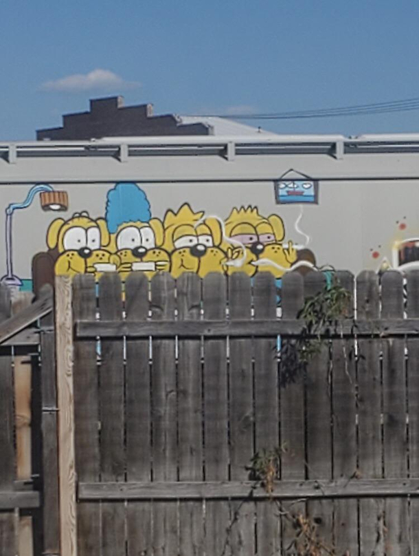 Some graffiti on a train parked behind my house