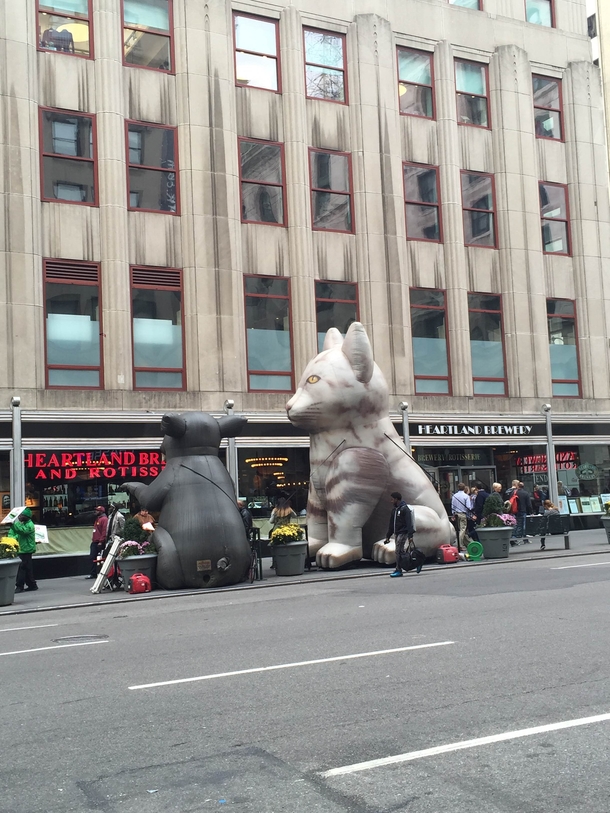 Some Guy Started a business of blow up Cats to counter the Union blow-up Rat protests