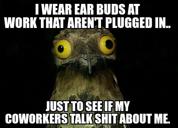 Some of the conversations are ridiculous
