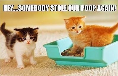 Some people will steal anything