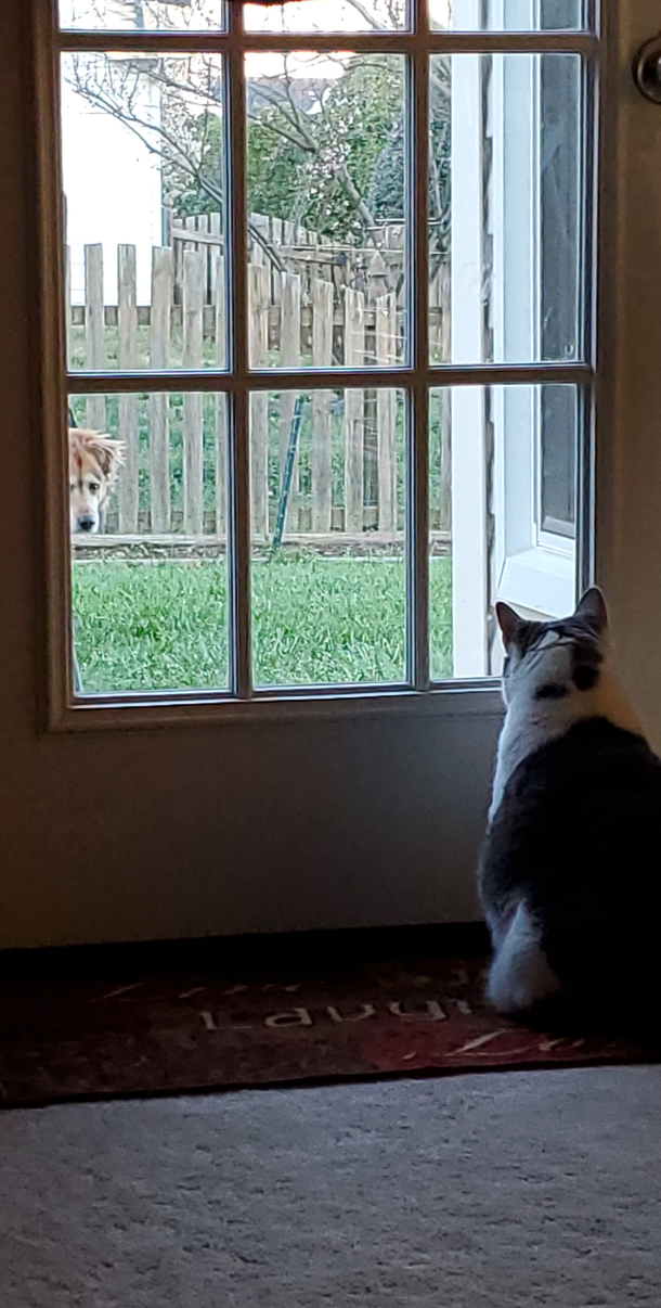 Some serious plotting going on here