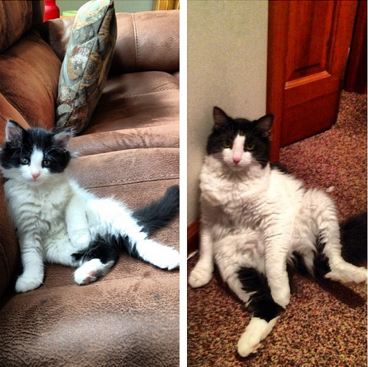 some things never change