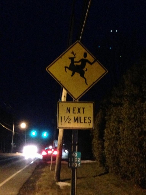 Somebody did this to all of the deer-crossing signs on my town