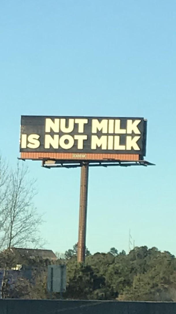 Somebody feels really strong about this