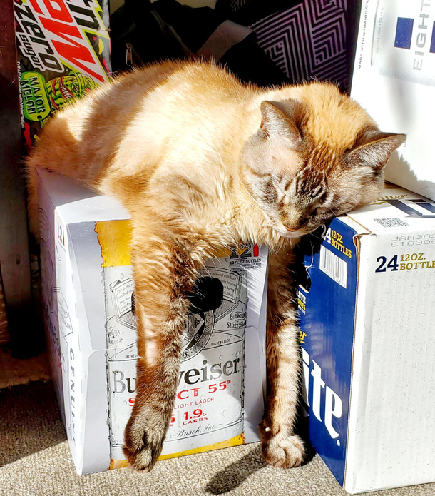 Somebody started the party early 