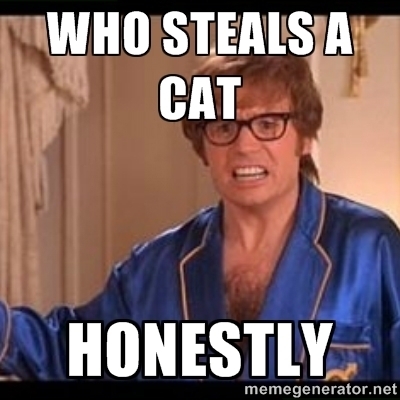 Somebody was caught on video here in California stealing a cat