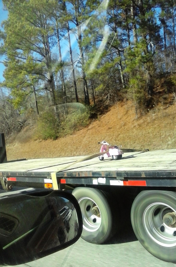 Somebodys getting a sweet scooter