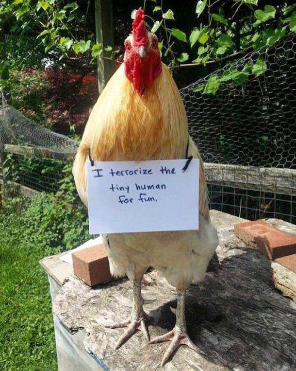 Somehow he does not look ashamed at all