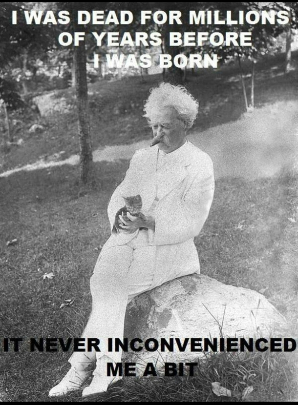 Someone asked me how I would feel if my parents aborted me today Mark Twain came to mind