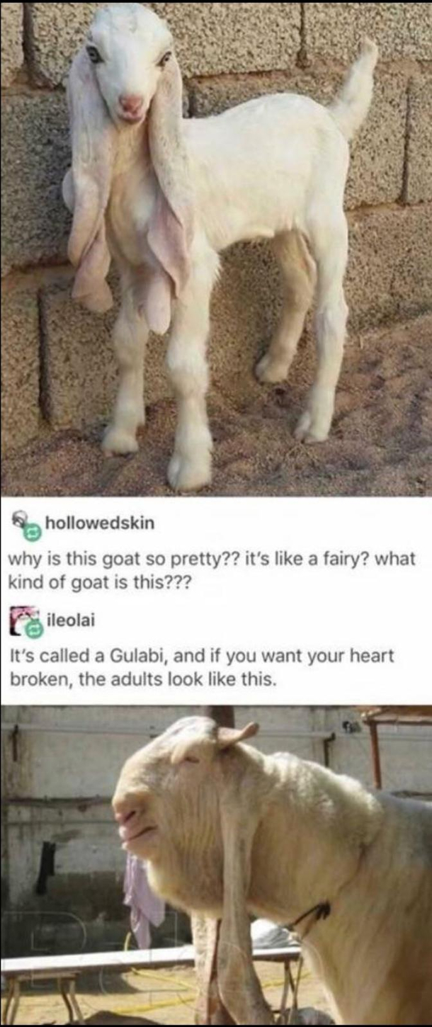 Someone did not age well