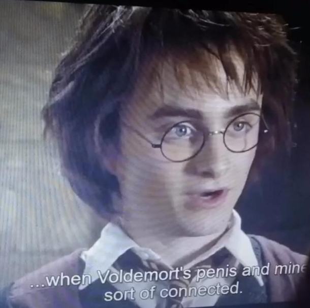 Someone download subtitles for a Harry Potter movie and changed the word  wand to penis and I just cant - Meme Guy