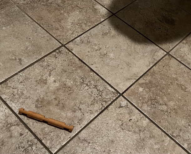 Someone dropped a log about  inches from the toilet this morning